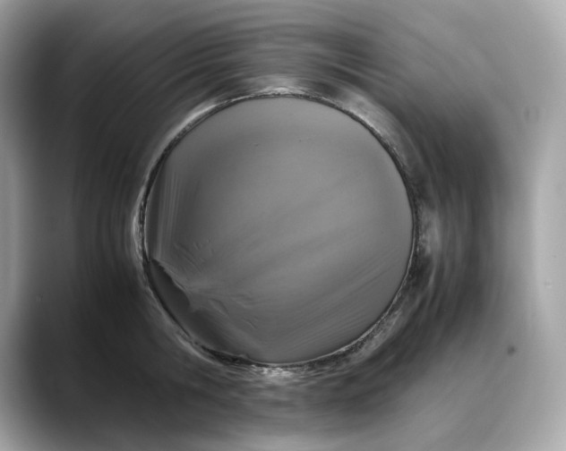 X0000088360806200706051022