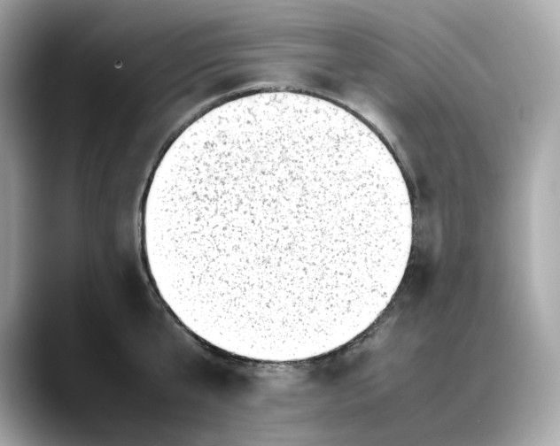 X0000088360807200706051022