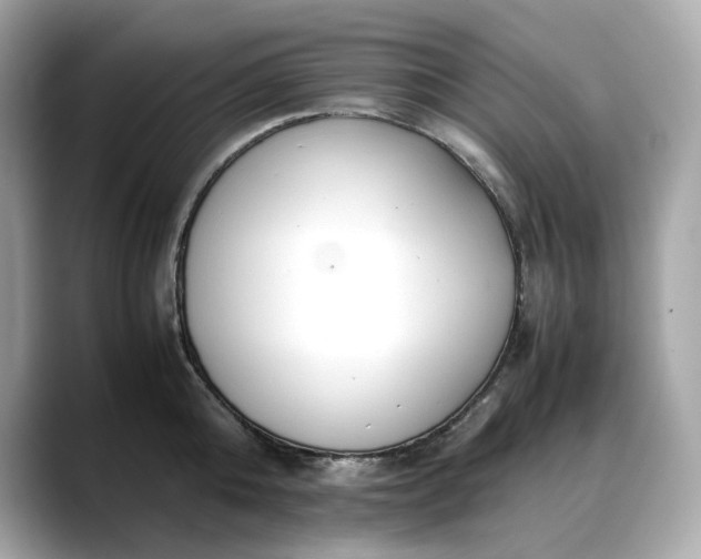 X0000088360808200706051022