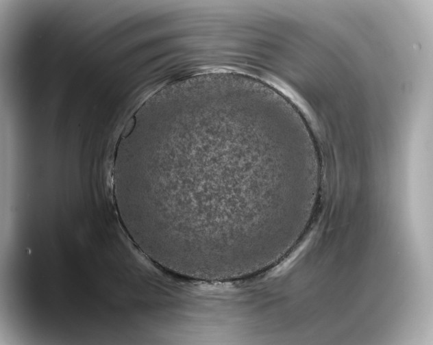 X0000088360809200706051022