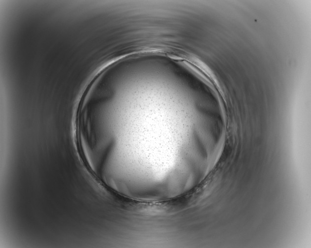 X0000088360811200706051022