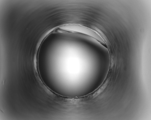 X0000088360812200706051022