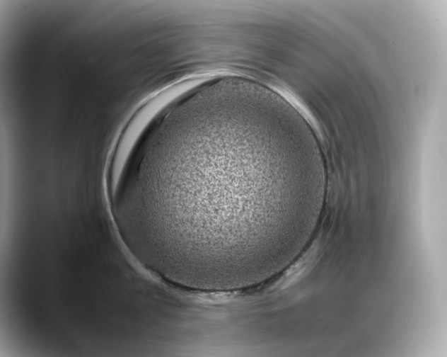 X0000088360813200706051022