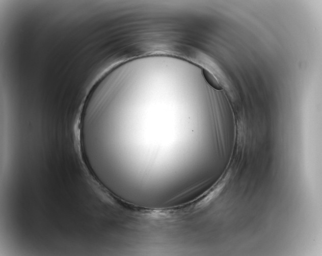 X0000088360814200706051022