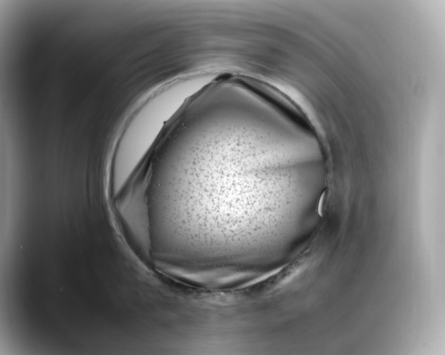 X0000088360815200706051022