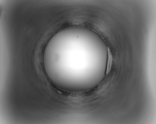 X0000088360817200706051021