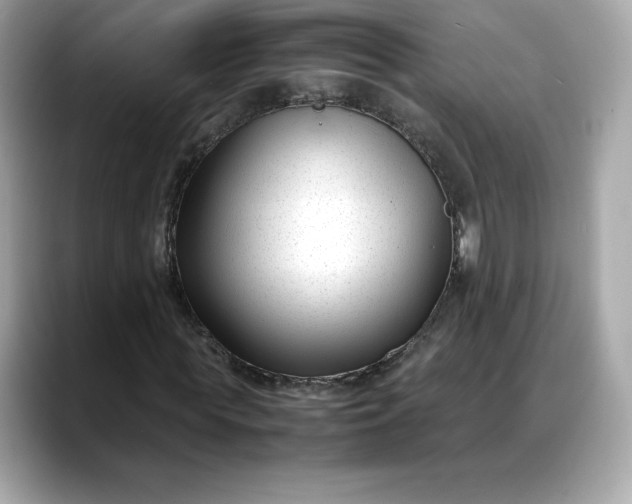 X0000088360819200706051021