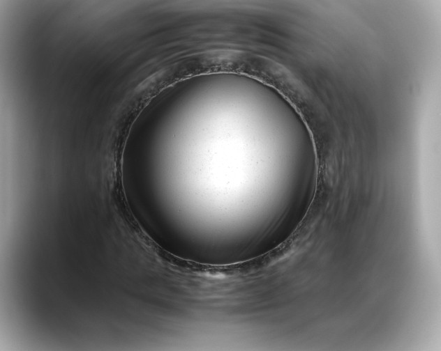 X0000088360821200706051021