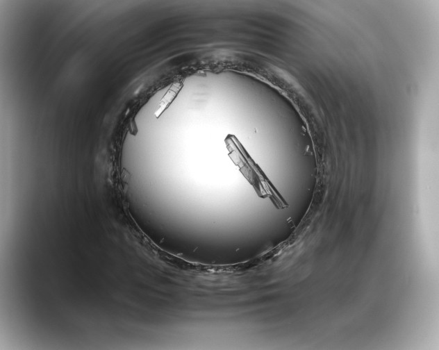 X0000088360823200706051021