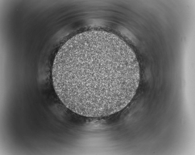 X0000088360824200706051021