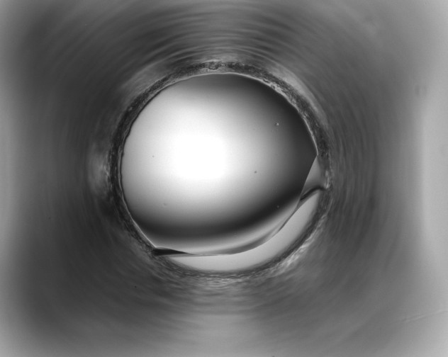 X0000088360826200706051022