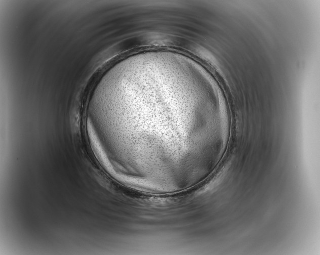 X0000088360827200706051022