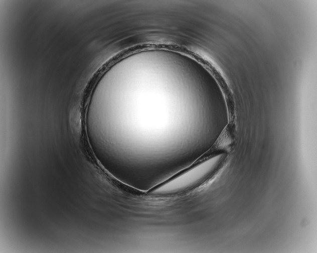 X0000088360829200706051022