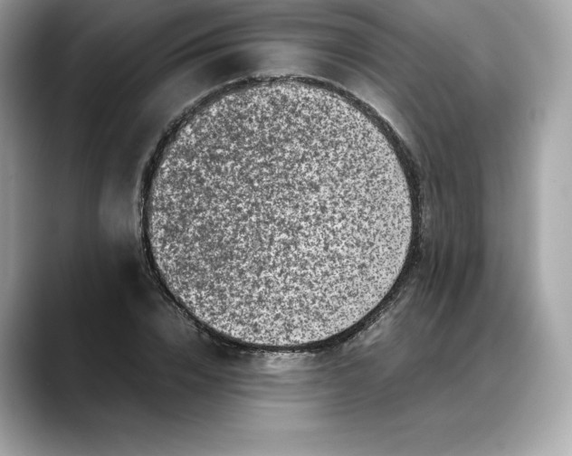 X0000088360832200706051022