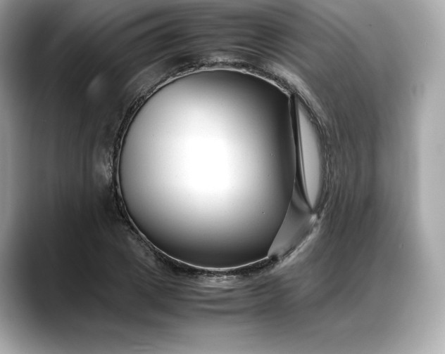 X0000088360833200706051022