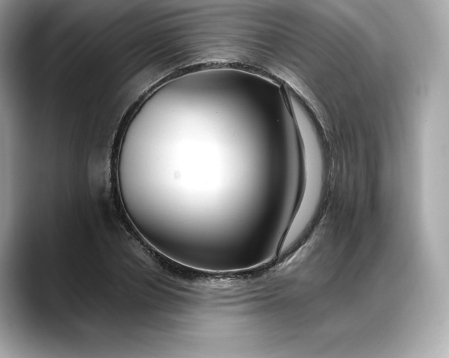 X0000088360834200706051022