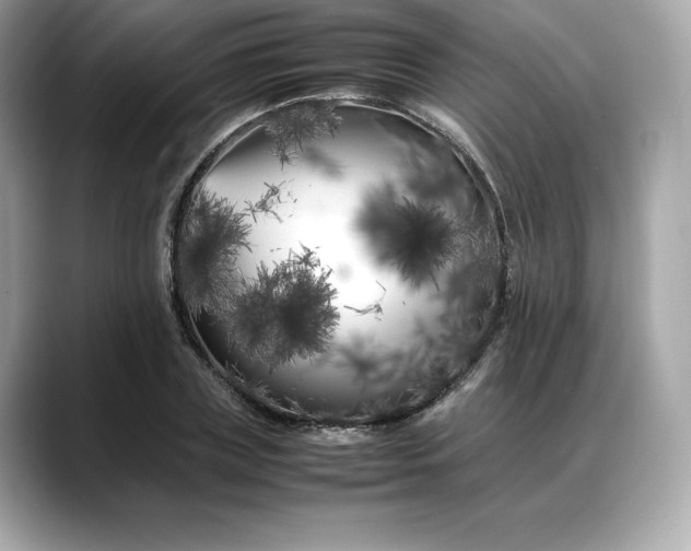 X0000088360835200706051022