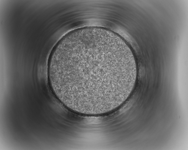 X0000088360836200706051022