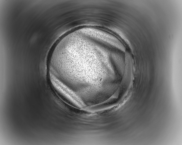 X0000088360837200706051022