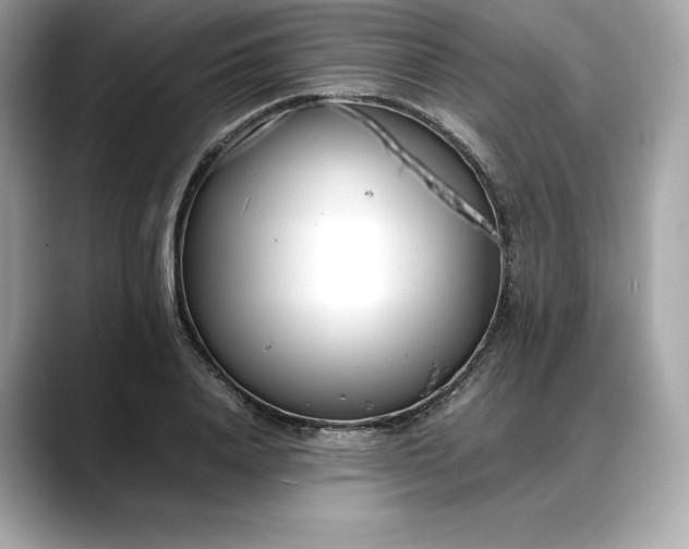 X0000088360840200706051022