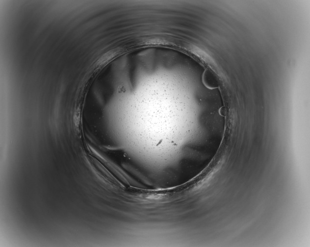 X0000088360841200706051022