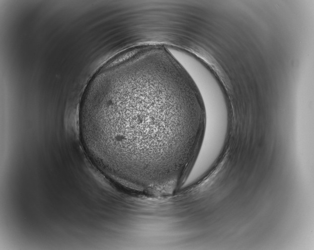 X0000088360842200706051022