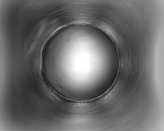 X0000088360844200706051022