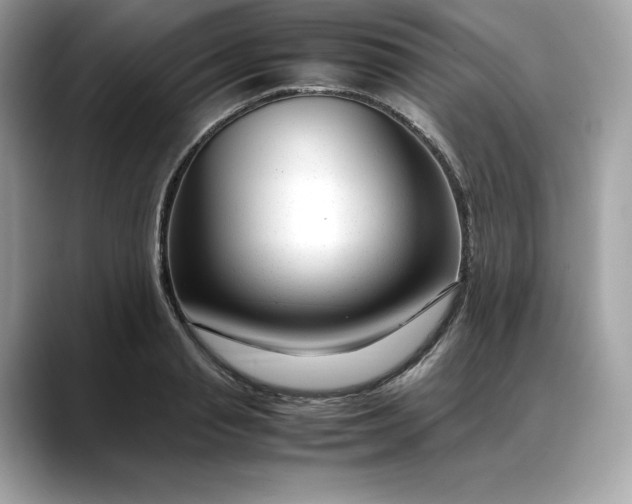 X0000088360845200706051022