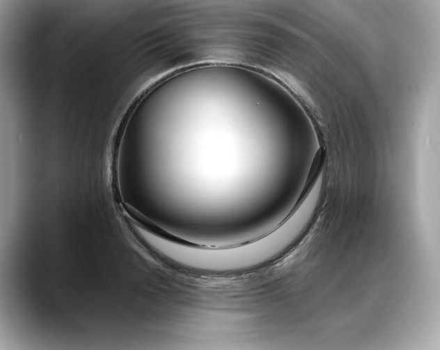 X0000088360846200706051022