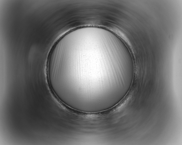 X0000088360847200706051022