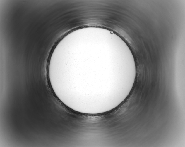 X0000088360848200706051022