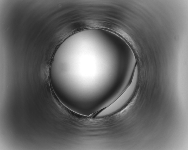 X0000088360849200706051022