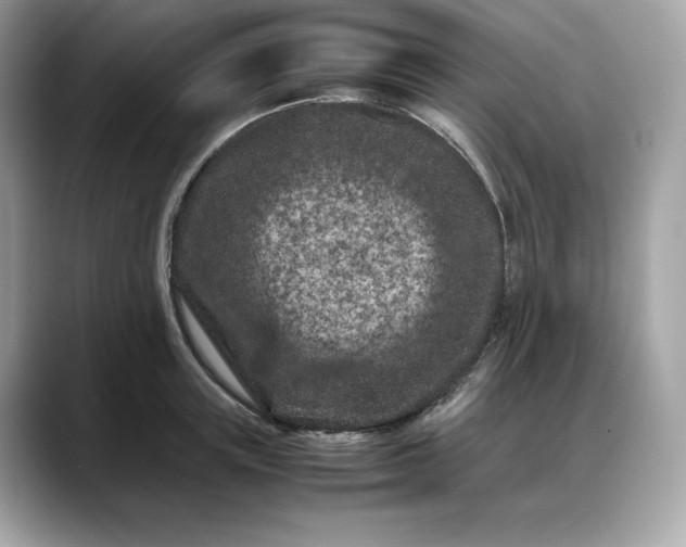 X0000088360851200706051022