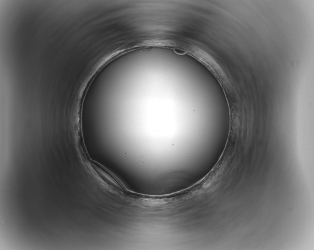 X0000088360852200706051022