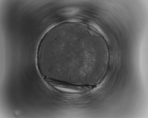 X0000088360853200706051022