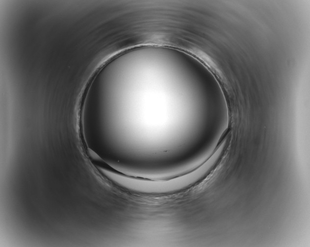 X0000088360854200706051022