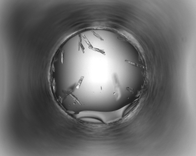 X0000088360855200706051022