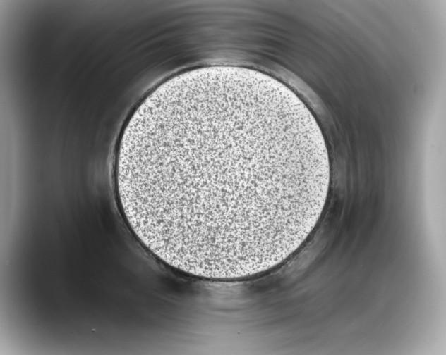 X0000088360856200706051022