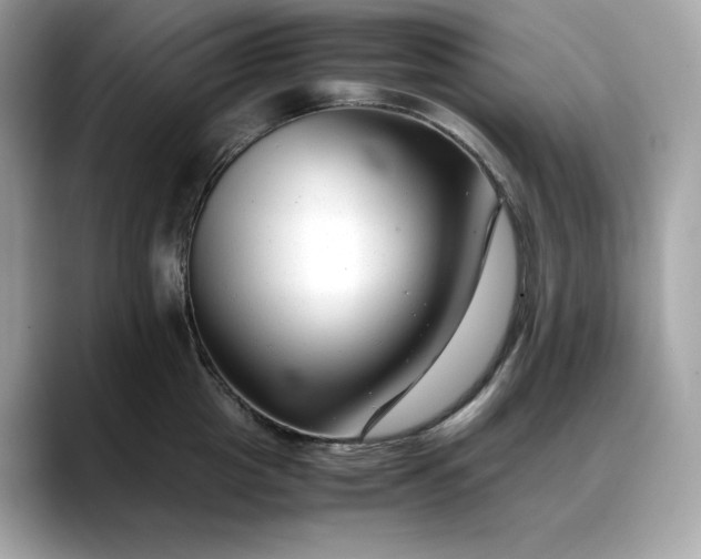 X0000088360857200706051022