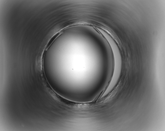 X0000088360858200706051022