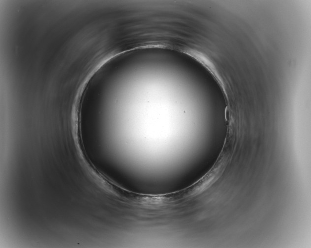 X0000088360859200706051022