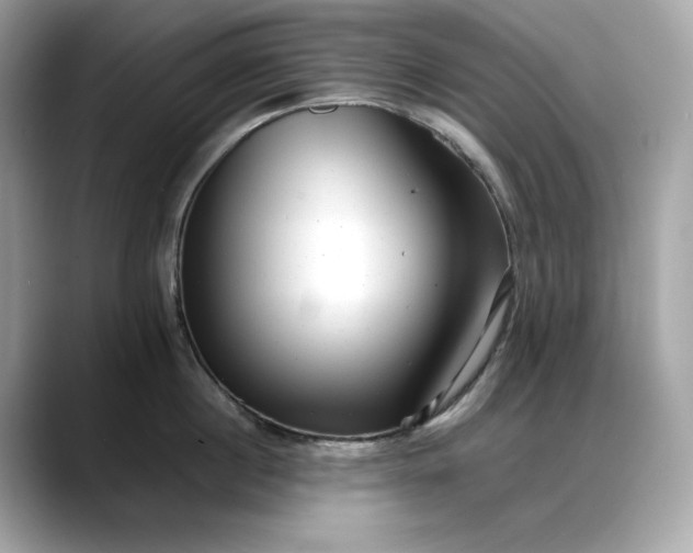 X0000088360860200706051022