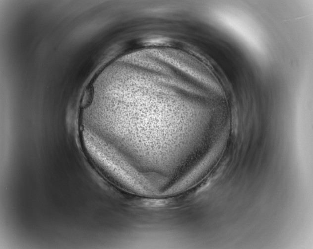 X0000088360861200706051022