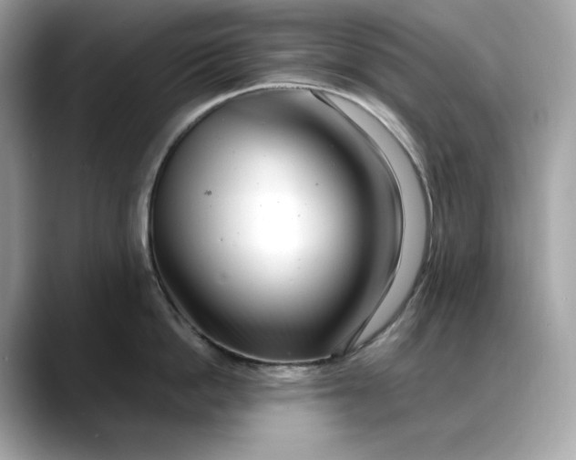 X0000088360862200706051022