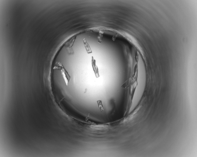 X0000088360863200706051022