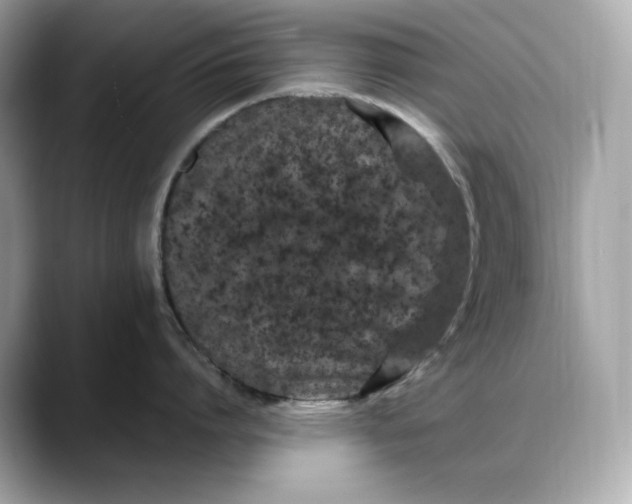 X0000088360864200706051022