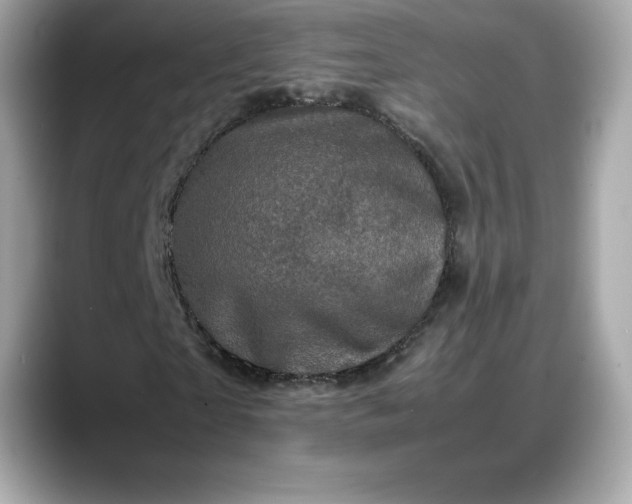 X0000088360865200706051021