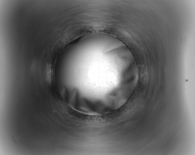 X0000088360866200706051021