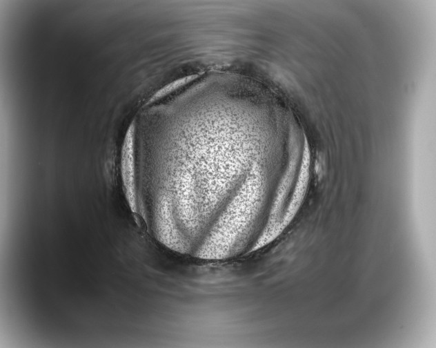 X0000088360867200706051021