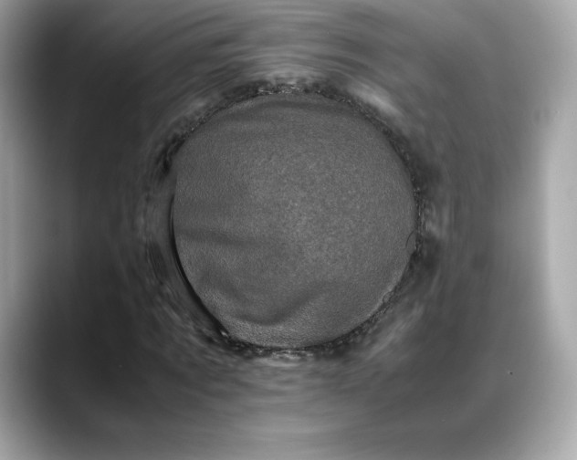 X0000088360869200706051021